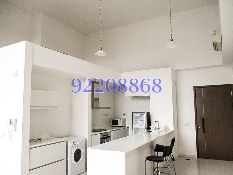 One-north Residences (D5), Apartment #170771812